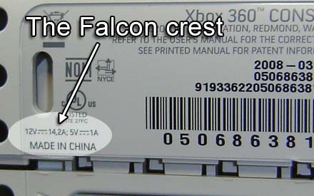 falcon_find.jpg